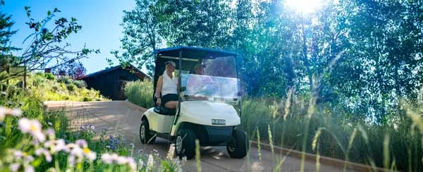 ezgo umwelt 1