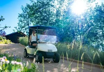 ezgo elite