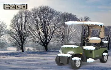 golf carts overwintering golftech